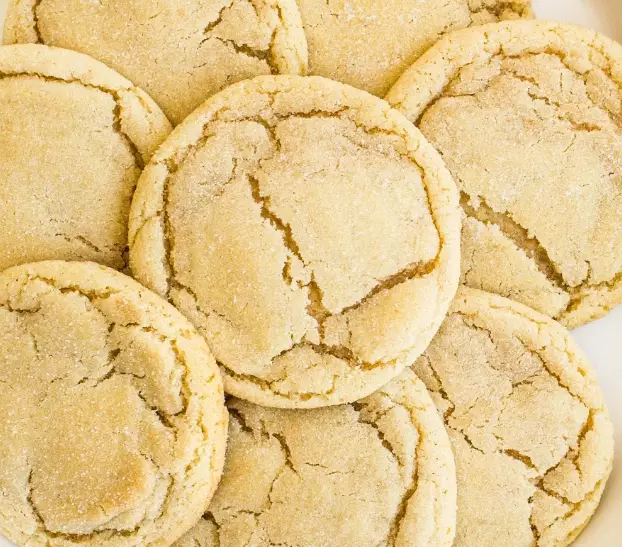 cut out sugar cookies