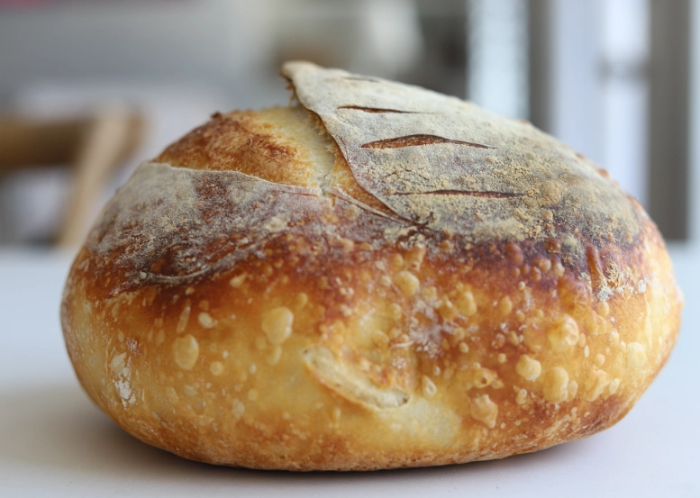 sourdough bread recipes
