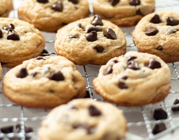 chocolate chip cookie recipe without brown sugar