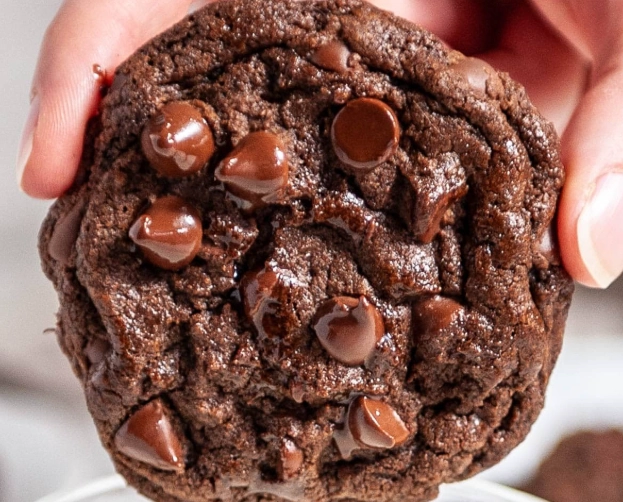 best double chocolate cookies