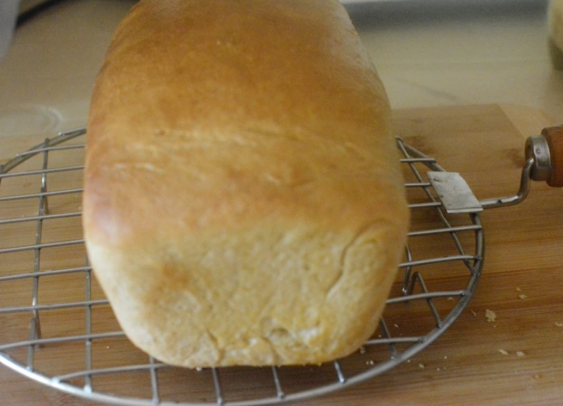 basic baking principles