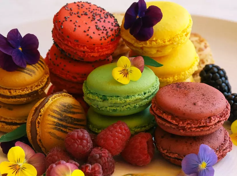 macaron troubleshooting