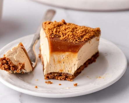 best cheesecake crust best cheesecake crust